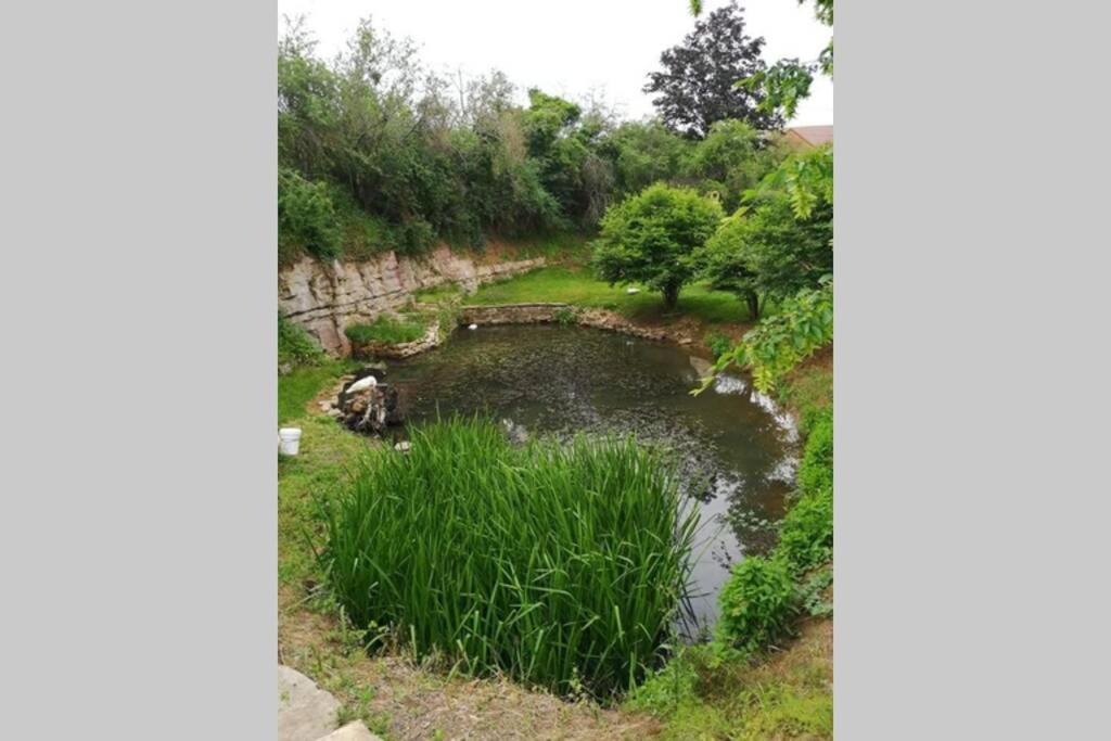 Laives Studio Au Bord De L'Etang מראה חיצוני תמונה