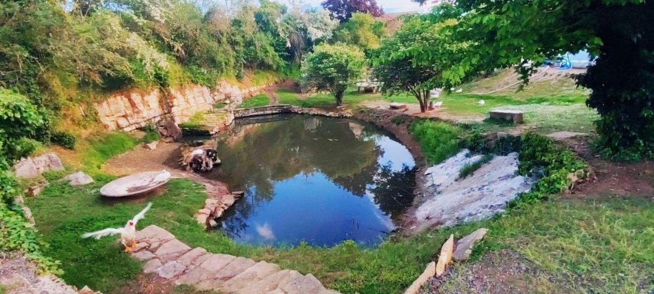 Laives Studio Au Bord De L'Etang מראה חיצוני תמונה